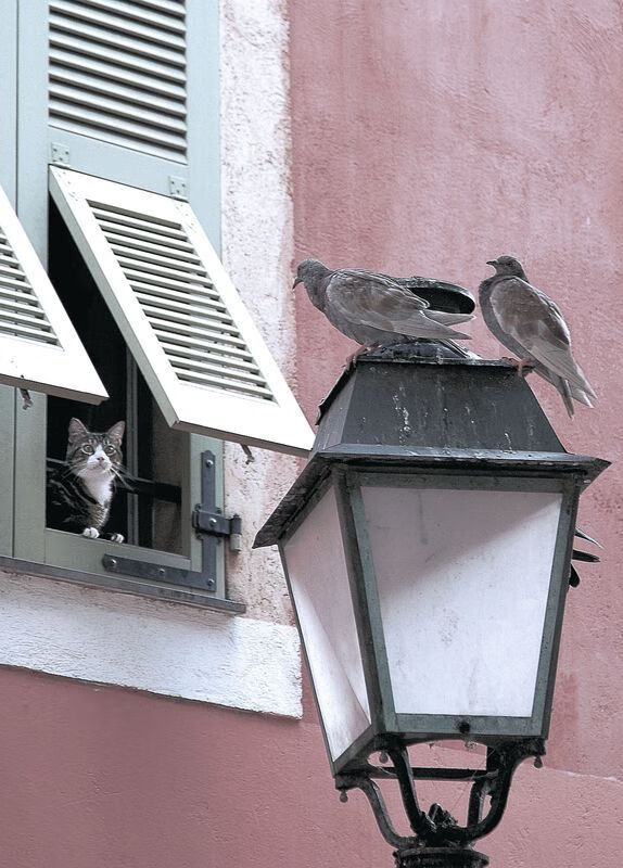 开云体育开云-【马克·塞尔比】稳如泰山：用防守布局掌控全场，马克塞尔比的人生经历