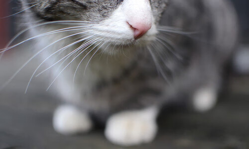 开云全站-持续推进足球场馆智能化与信息化建设，持续推进足球场馆智能化与信息化建设的意义